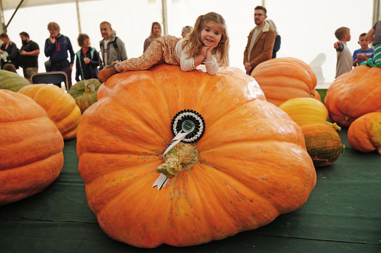 Malvern Autumn Show