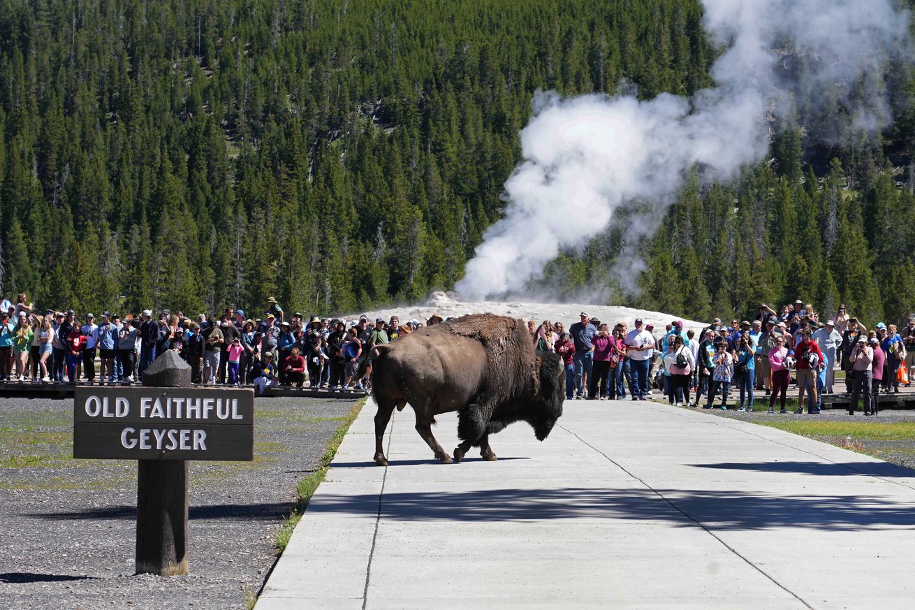 Parts Of Yellowstone National Park Reopen After Historic Flooding