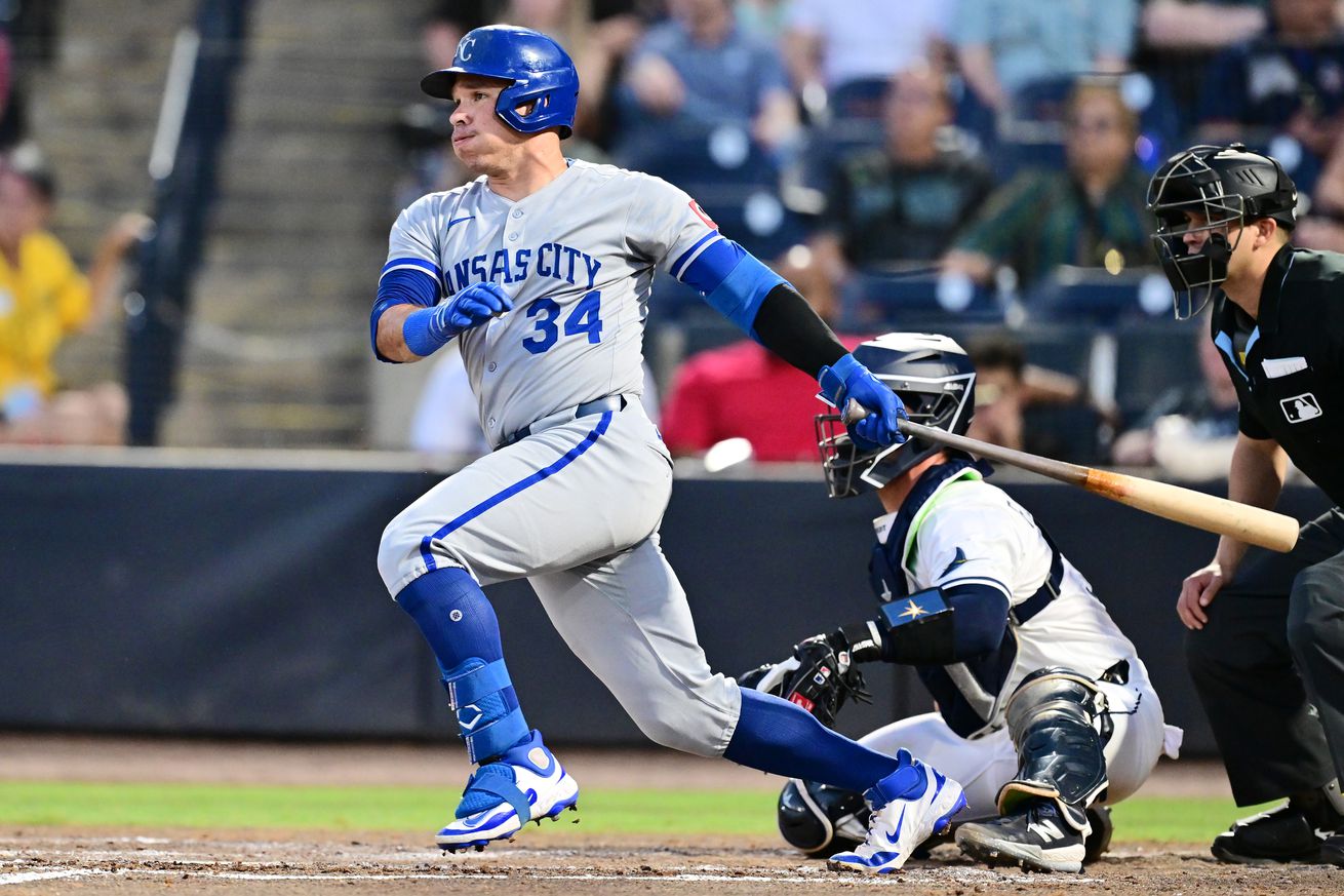 Kansas City Royals v Tampa Bay Rays