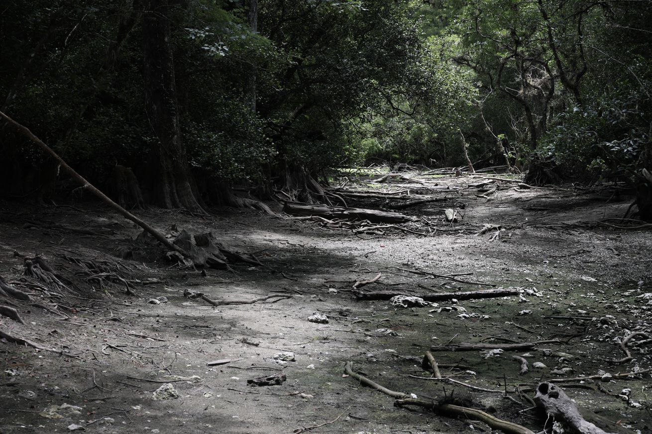 Florida Everglades Face Worst Drought In Over A Decade