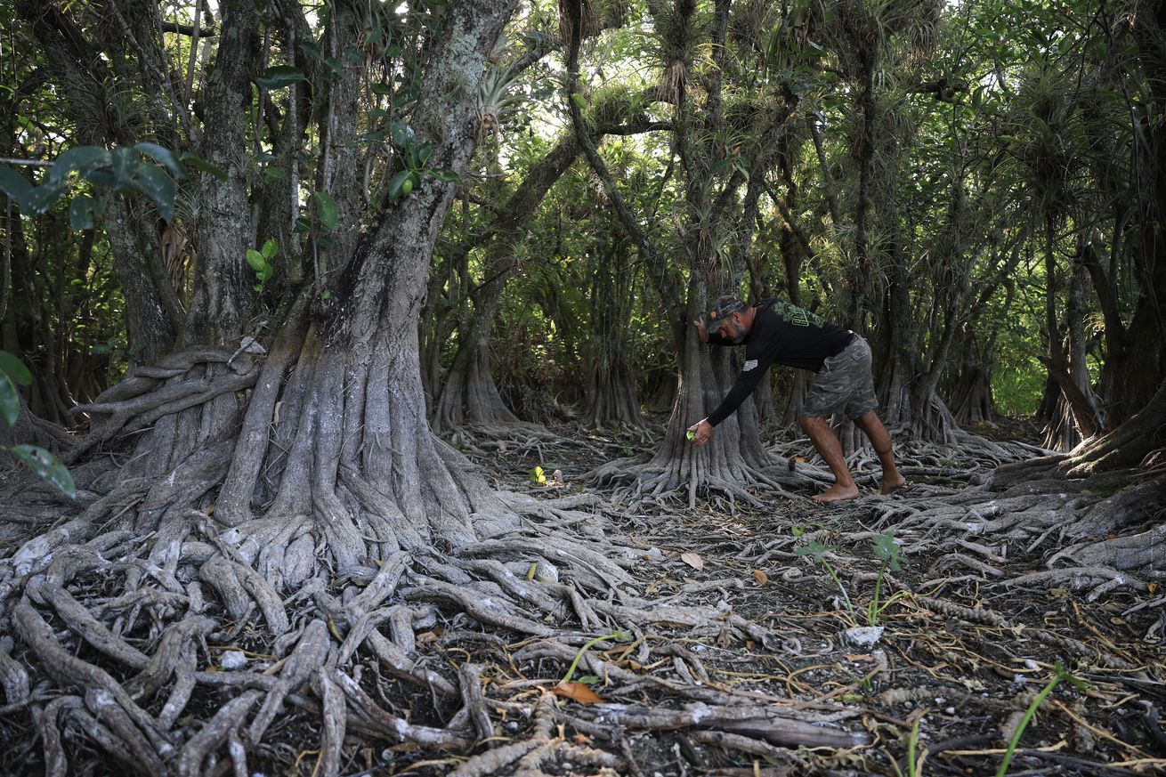 Florida Everglades Face Worst Drought In Over A Decade